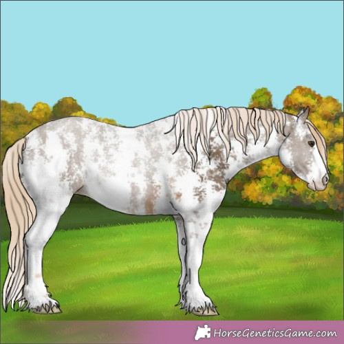 Horse Color:Chocolate Palomino Sabino 