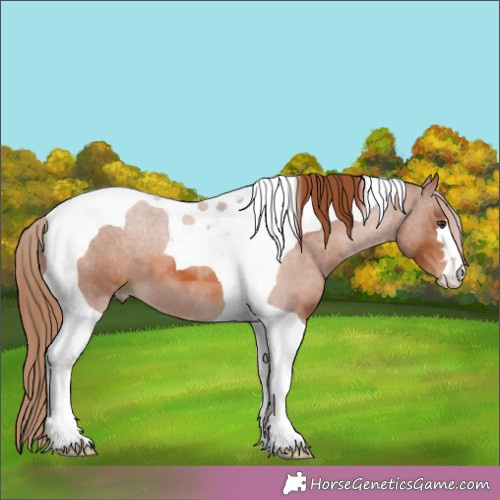Horse Color:Chestnut Tobiano 