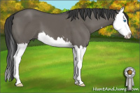 Horse Color:Grullo Sabino Splash
