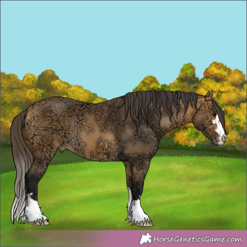 Horse Color:Buckskin Ice 