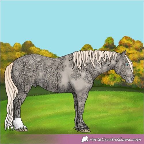 Horse Color:Perlino Ice Appaloosa 
