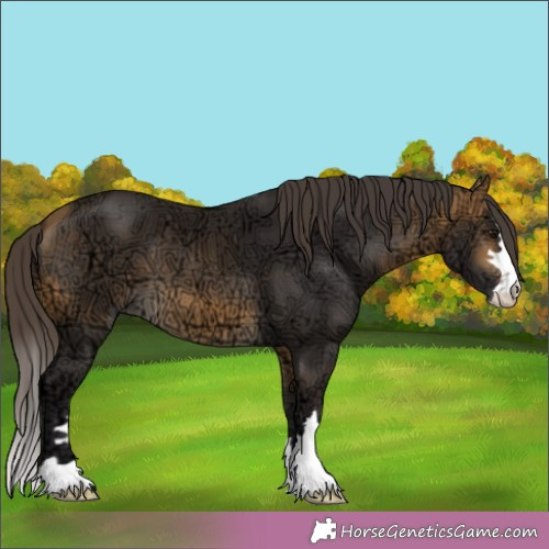 Horse Color:Buckskin Ice 