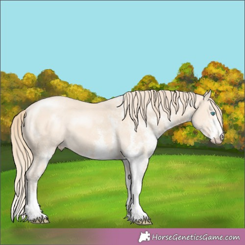 Horse Color:White Spotted Perlino 