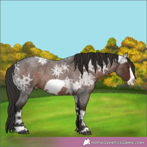 Horse Color:Liver Red Ice Roan Frame 