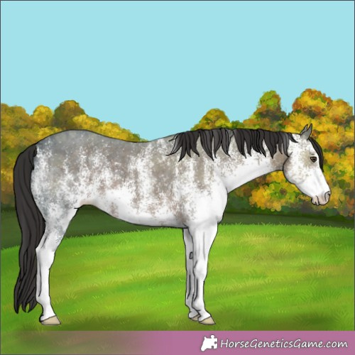 Horse Color: White Spotted Liver Chestnut Ice 