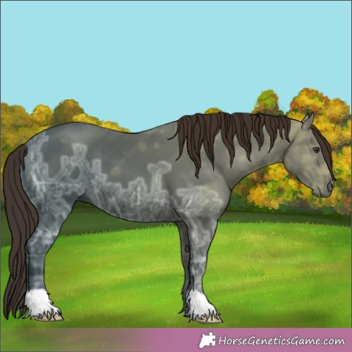 Horse Color: Liver Chestnut Ice 