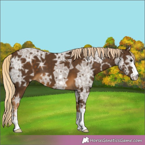 Horse Color:Chocolate Palomino Ice 