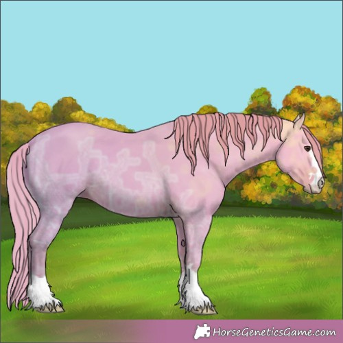 Horse Color:Watercolor Liver Chestnut Ice 