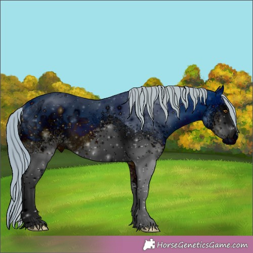 Horse Color:ERROR: UNKNOWN ANOMALY