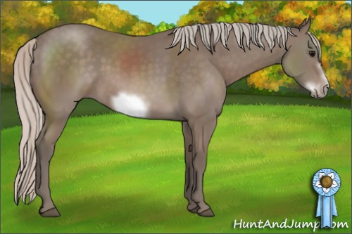 Horse Color: Silver Black Sabino Frame Rabicano 