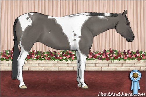 Horse Color: Grullo Tobiano 