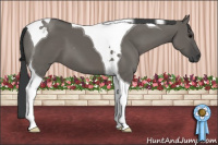 Horse Color:Grullo Tobiano