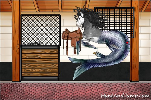 Horse Color:Black Splash 