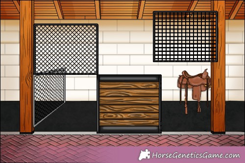 Horse Color: Black Splash 