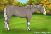 Horse Color:Silver Brown Splash 