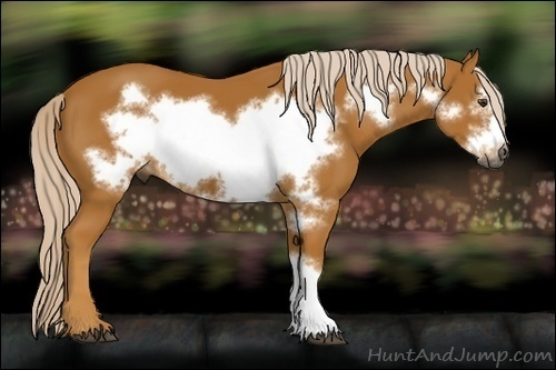 Horse Color:Gray Palomino Frame 