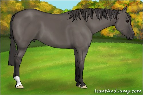 Horse Color: Smoky Grullo 