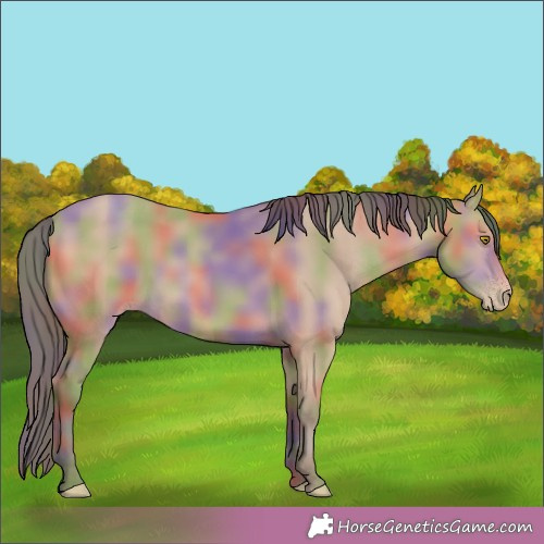 Horse Color:Nacre Amber Champagne 