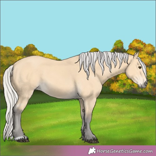 Horse Color:Silver Buckskin