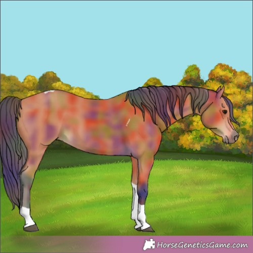 Horse Color:Nacre Bay Tobiano 