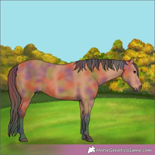 Horse Color:Nacre Bay 