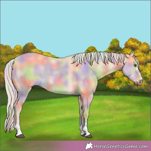 Horse Color:Nacre Palomino Dun 