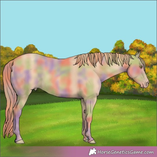 Horse Color:Nacre Gold Champagne 
