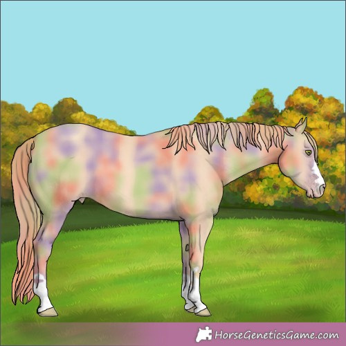 Horse Color:Nacre Gold Champagne 