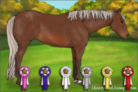 Horse Color:Silver Bay 