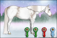 Horse Color:White Spotted Silver Grullo Ice Splash Rabicano 