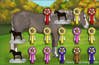 Horse Color:Silver Black Splash 
