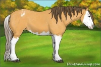 Horse Color:Buckskin Splash Varnish 