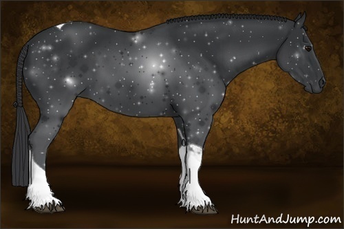 Horse Color:Black Tobiano 