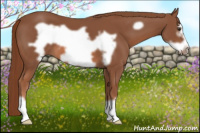 Horse Color:Chestnut Frame 