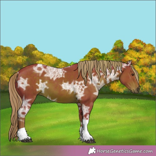 Horse Color:Watercolor Liver Chestnut Ice Tobiano