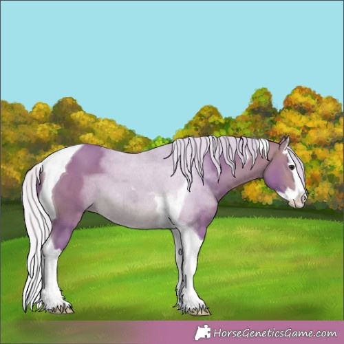 Horse Color:Watercolor Silver Bay Splash Tobiano 