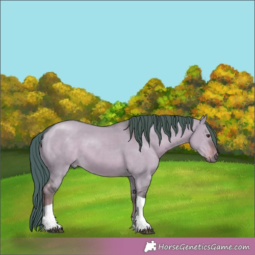 Horse Color:Watercolor Liver Red Dun Tobiano