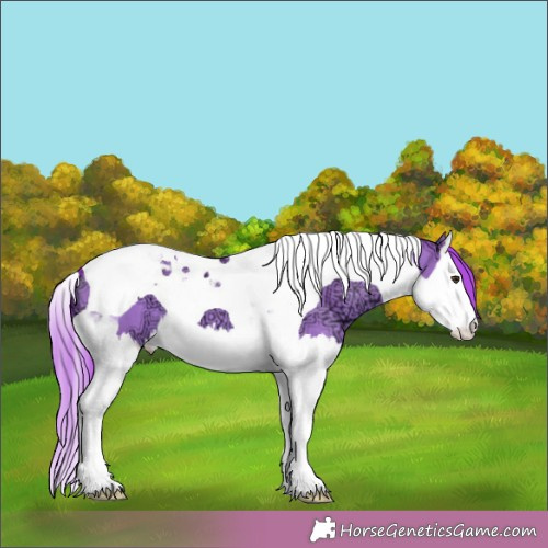 Horse Color:Watercolor Red Dun Ice Splash Tobiano 