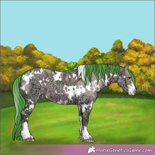 Horse Color:Watercolor White Spotted Liver Red Dun Ice Sabino 