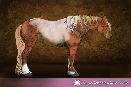 Horse Color:Watercolor Liver Chestnut Ice Tobiano 