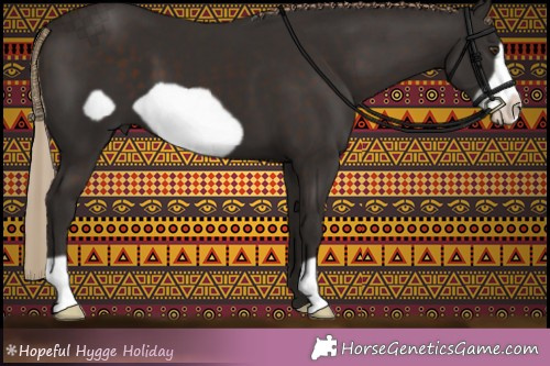 Horse Color:Liver Chestnut Frame 