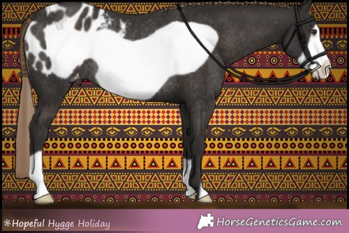 Horse Color:Liver Chestnut Frame Appaloosa Rabicano 