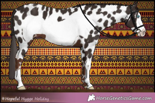 Horse Color:Liver Chestnut Frame Appaloosa 