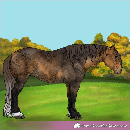 Horse Color:Buckskin Ice 