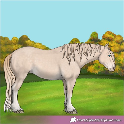 Horse Color:Perlino 