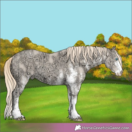 Horse Color:White Spotted Perlino Ice 