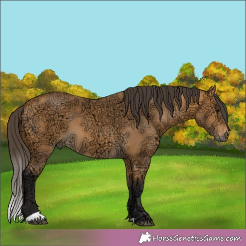 Horse Color:Buckskin Ice 
