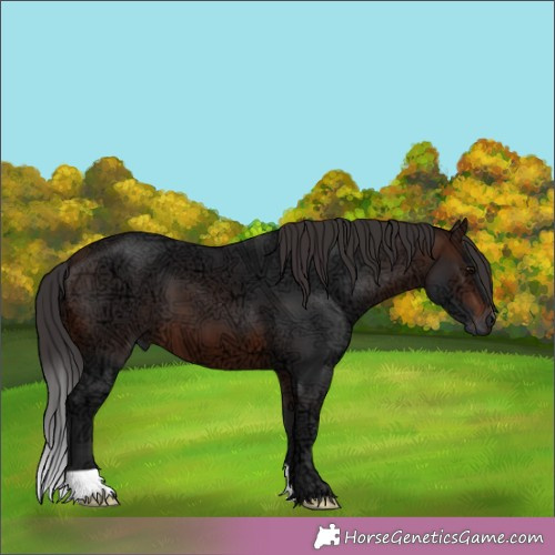 Horse Color:Brown Ice 
