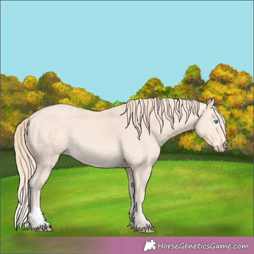 Horse Color:Perlino 