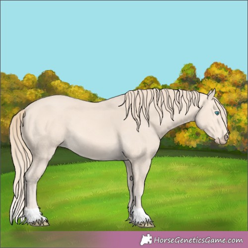 Horse Color:Perlino 